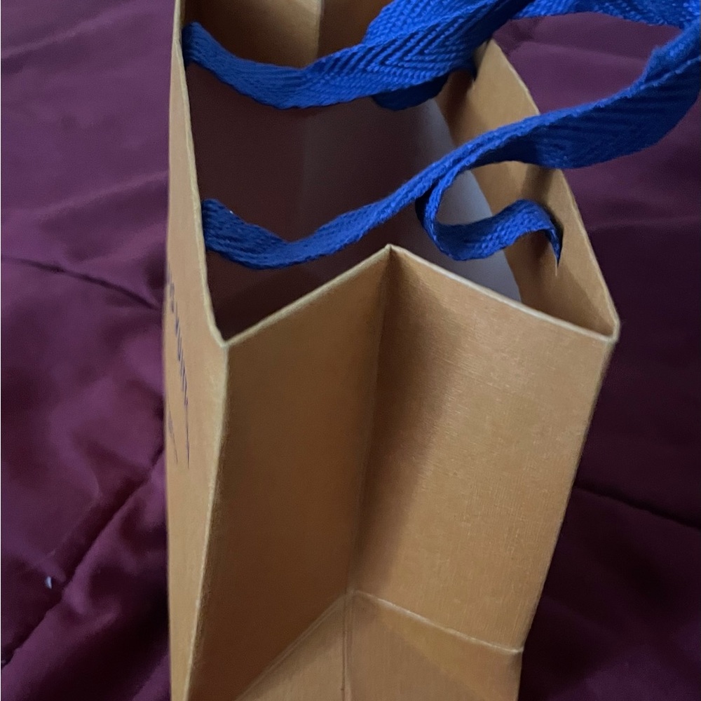 Mini Louis Vuitton gift bag
